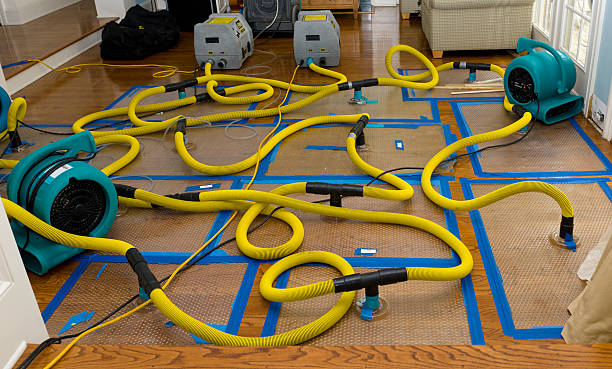 Professional Crawl Space Water Removal technician working in Addison, ME